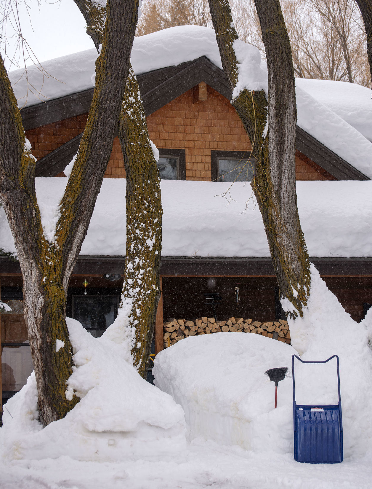 Record snow
